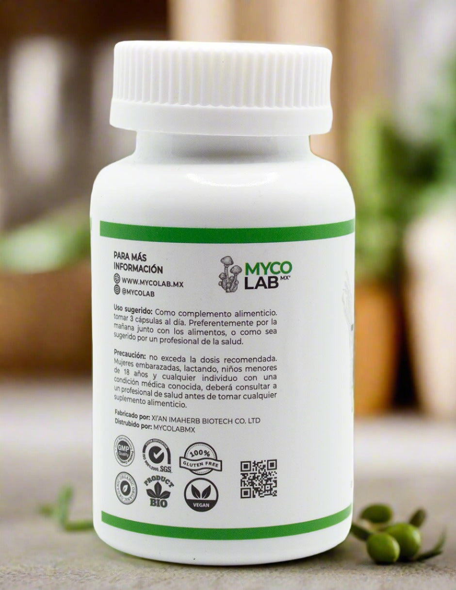 Tetra Mushroom Mind and Energy - Mezcla de 4 Hongos Medicinales