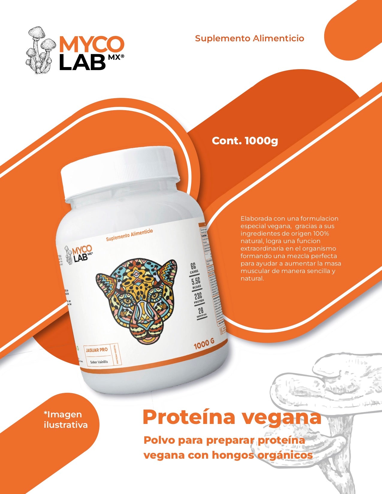 Proteína Vegana con extractos de Hongos Medicinales Sabor Vainilla